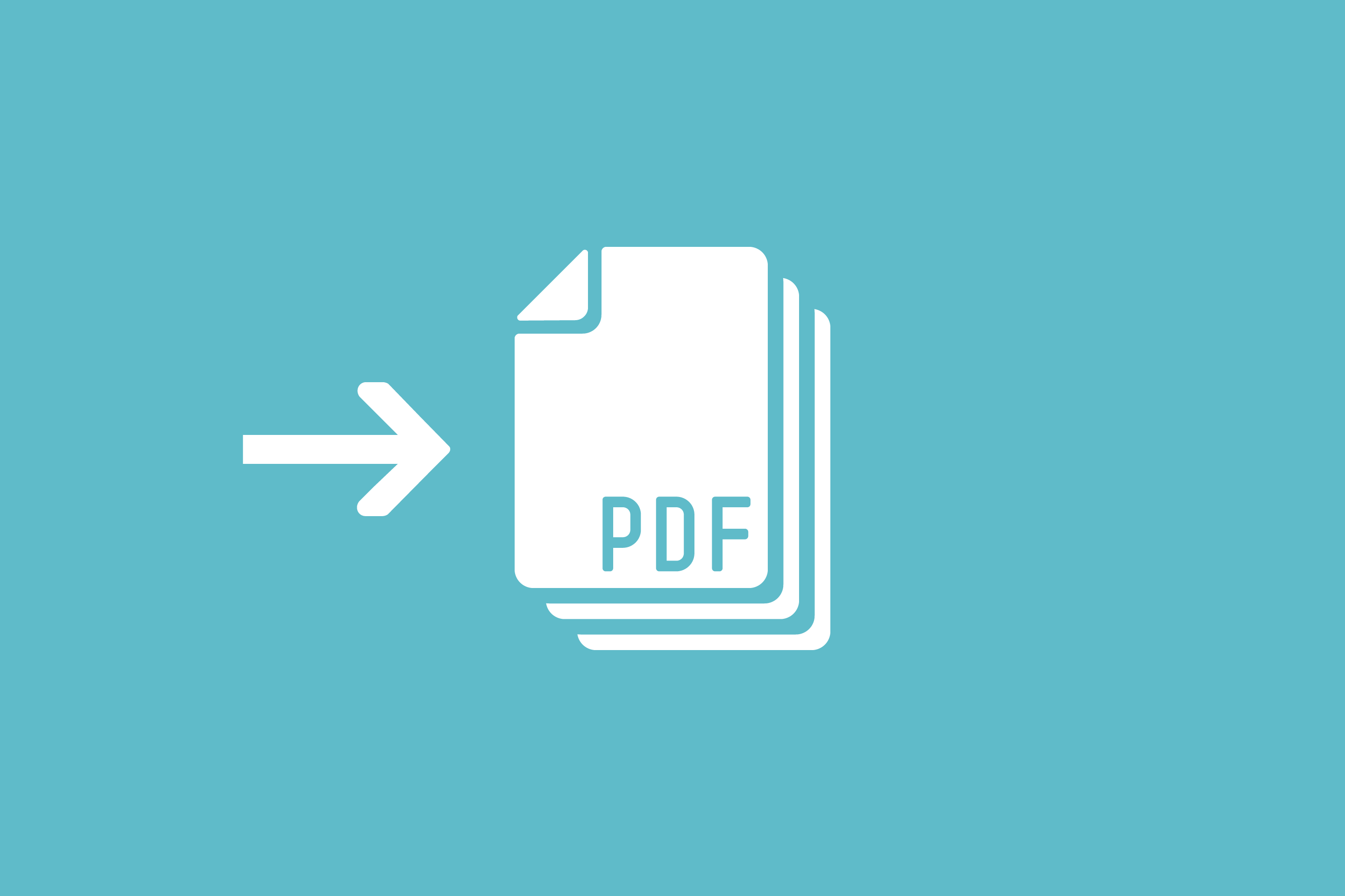 Externes PDF