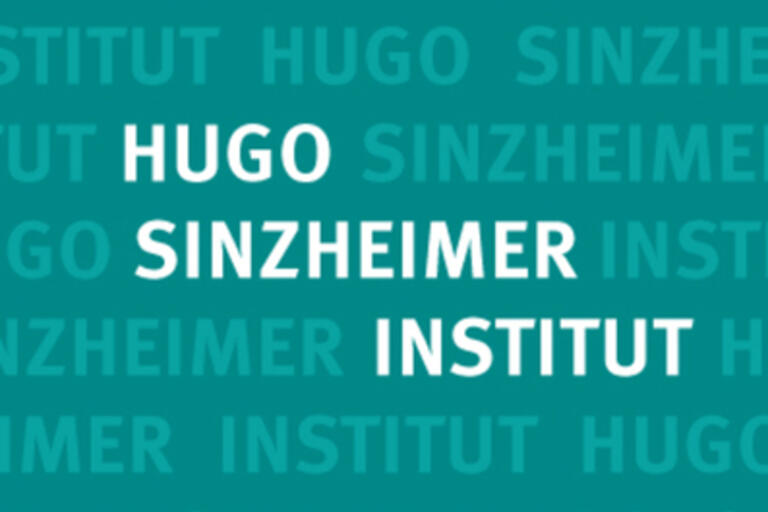 HSI Logo